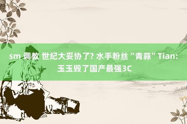 sm 调教 世纪大妥协了? 水手粉丝“青蒜”Tian: 玉玉毁了国产最强3C