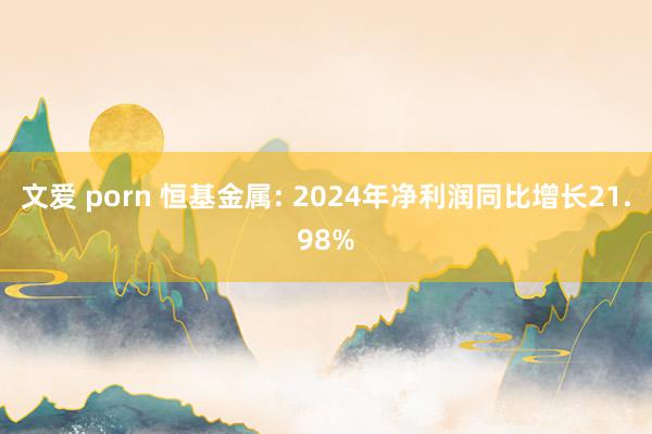文爱 porn 恒基金属: 2024年净利润同比增长21.98%
