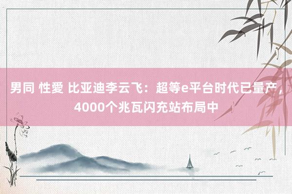 男同 性愛 比亚迪李云飞：超等e平台时代已量产，4000个兆瓦闪充站布局中