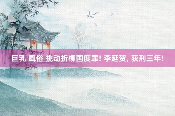 巨乳 風俗 挑动折柳国度罪! 李延贺, 获刑三年!