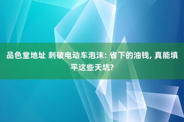 品色堂地址 刺破电动车泡沫: 省下的油钱, 真能填平这些天坑?