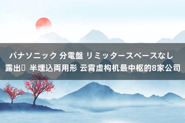 パナソニック 分電盤 リミッタースペースなし 露出・半埋込両用形 云霄虚构机最中枢的8家公司