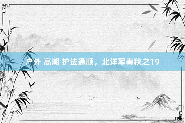 户外 高潮 护法通顺，北洋军春秋之19