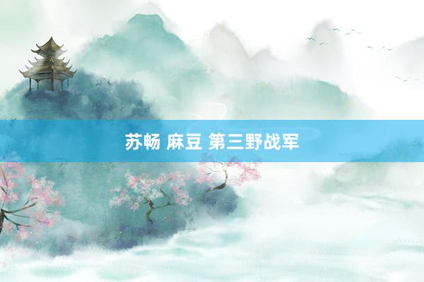 苏畅 麻豆 第三野战军