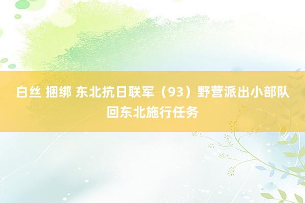 白丝 捆绑 东北抗日联军（93）野营派出小部队回东北施行任务