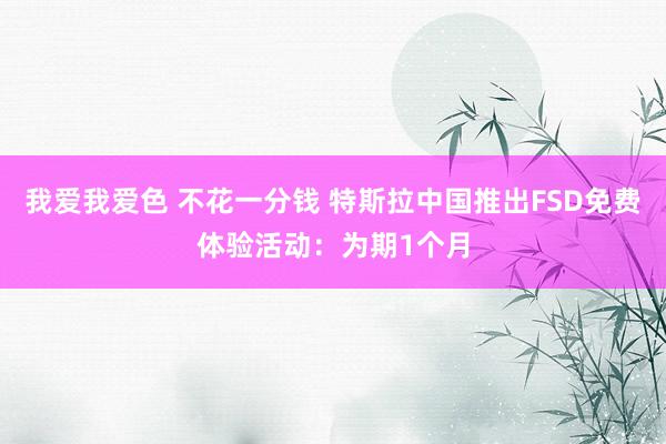 我爱我爱色 不花一分钱 特斯拉中国推出FSD免费体验活动：为期1个月