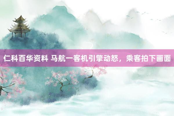 仁科百华资料 马航一客机引擎动怒，乘客拍下画面