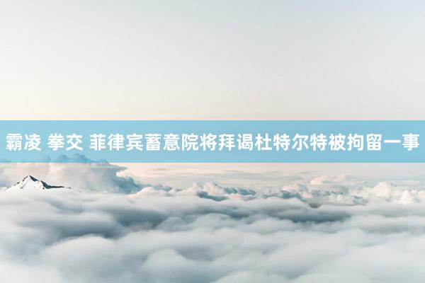 霸凌 拳交 菲律宾蓄意院将拜谒杜特尔特被拘留一事